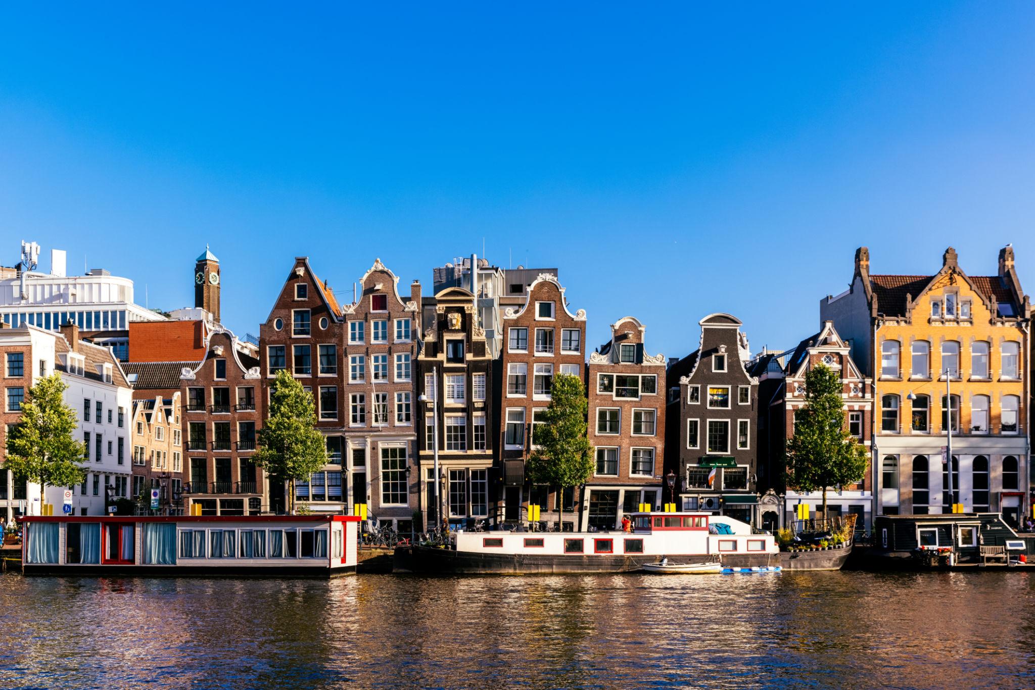 Amsterdam — We Mate home